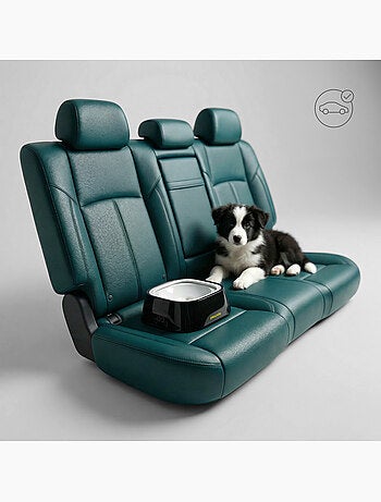 Ciotola antischizzo per cani PELUVIO Surfa - 1 L - Ciotola galleggiante - Viaggio, Casa