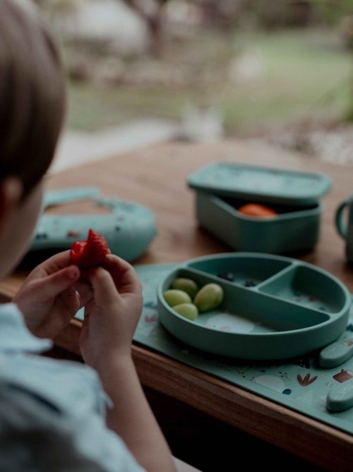 Ciotola in silicone con ventosa - animali | Sassi Junior - Kiabi