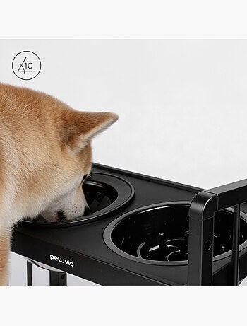 Ciotola rialzata per cani PELUVIO Levee - 2 ciotole - Altezza regolabile - Ciotola antisplash