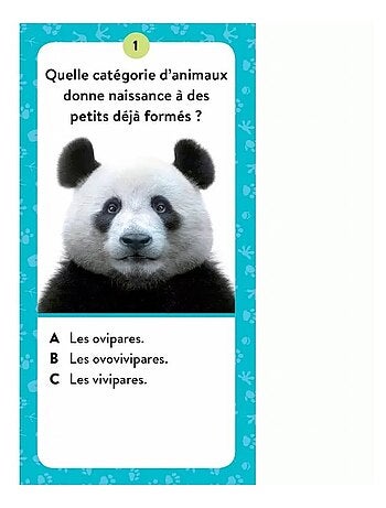 Cofanetto mega atlante degli animali | Sassi Junior