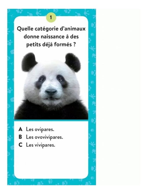 Cofanetto mega atlante degli animali | Sassi Junior - Kiabi