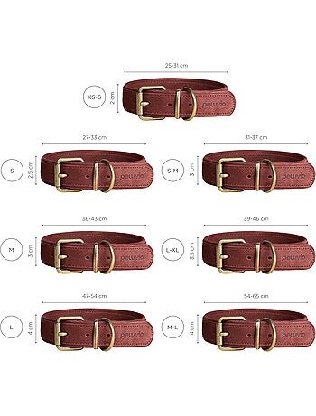 Collare per cani in pelle PELUVIO Rexor - Regolabile