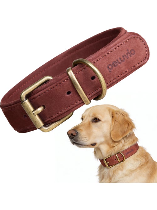 Collare per cani in pelle PELUVIO Rexor - Regolabile - Kiabi Collare per cani in pelle PELUVIO Rexor - Regolabile - Kiabi