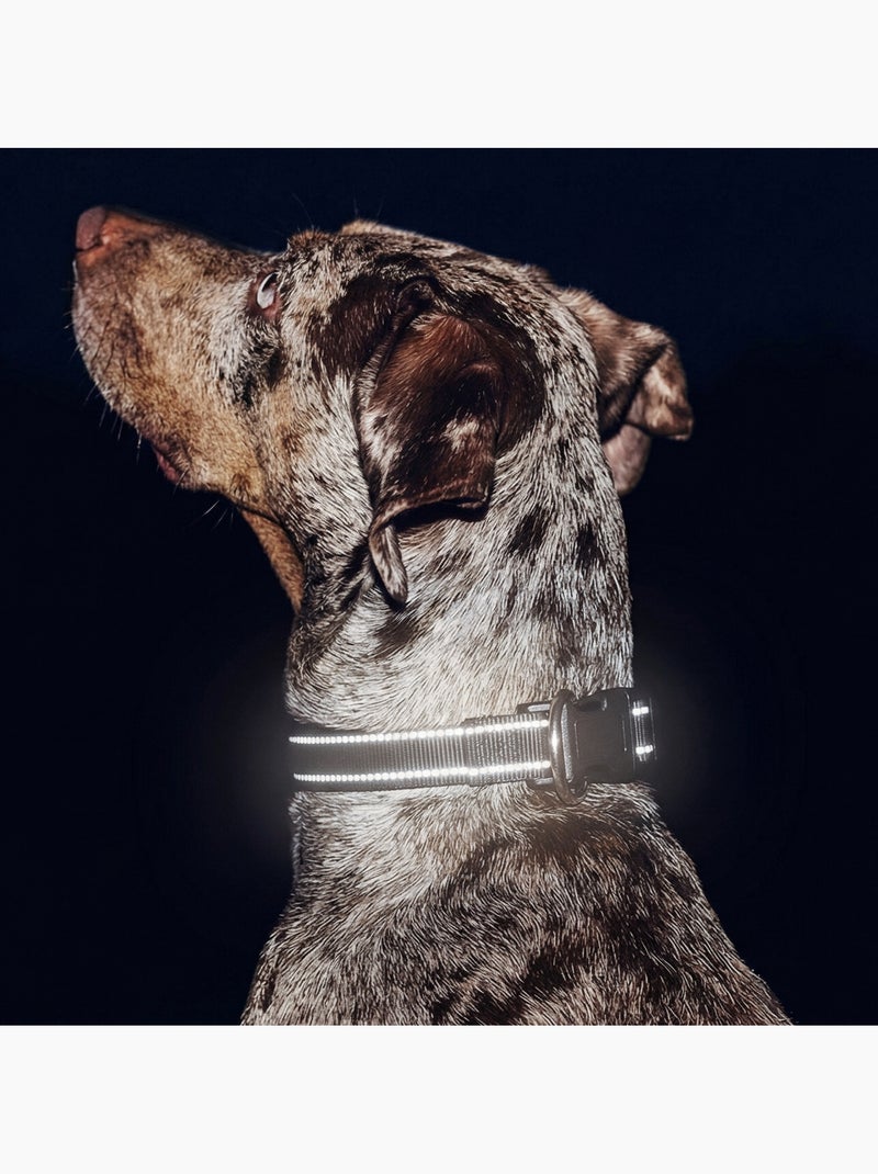 Collare per cani PELUVIO Buddy - Riflettente - Regolabile Nero - Kiabi
