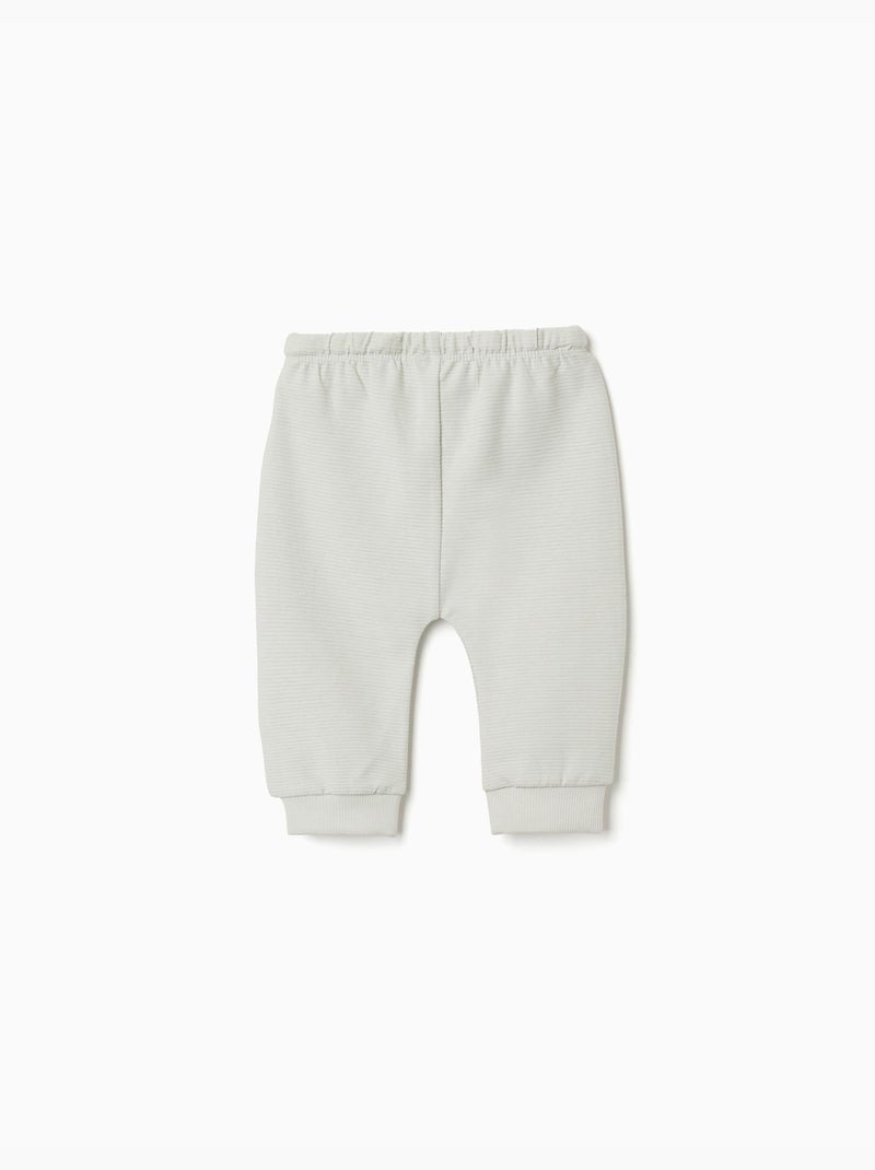 Confezione da 2 pantaloni in cotone tinta unita/a righe Verde chiaro - Kiabi