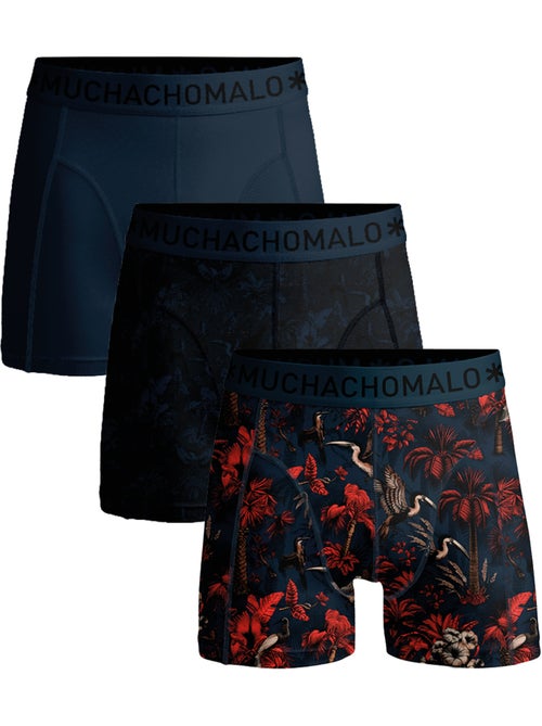 Confezione da 3 boxer Muchachomalo - Kiabi