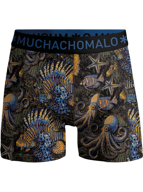 Confezione da 3 boxer Muchachomalo - Kiabi