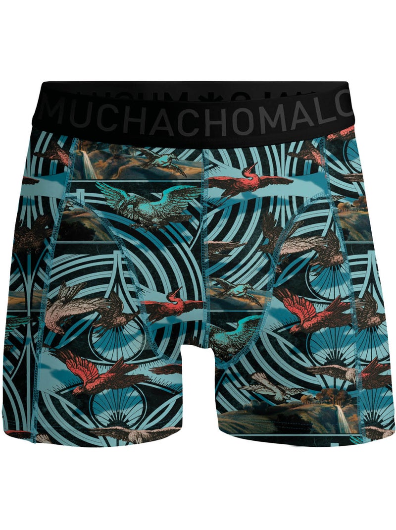 Confezione da 3 boxer Muchachomalo Blu Verde - Kiabi