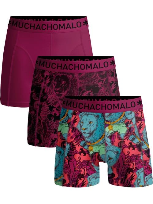 Confezione da 3 boxer muchachomalo - Kiabi