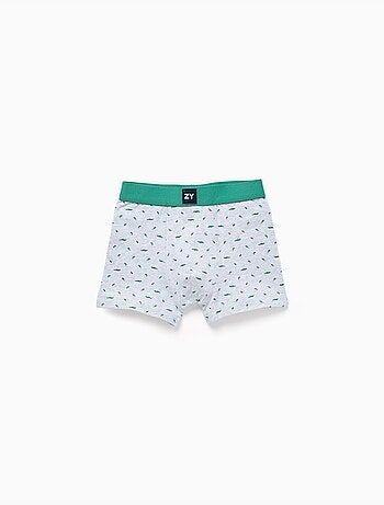 Confezione da 4 boxer a tinta unita/stampati