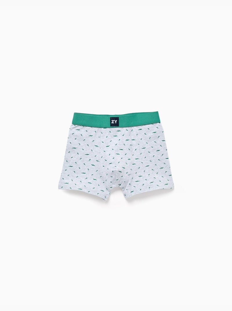 Confezione da 4 boxer a tinta unita/stampati Grigio verde - Kiabi