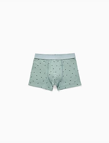 Confezione da 4 boxer in cotone con stampe di dinosauri