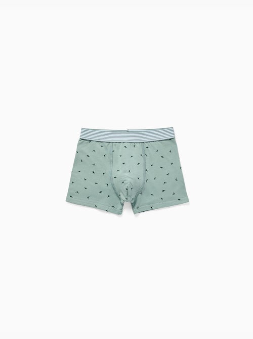 Confezione da 4 boxer in cotone con stampe di dinosauri - Kiabi