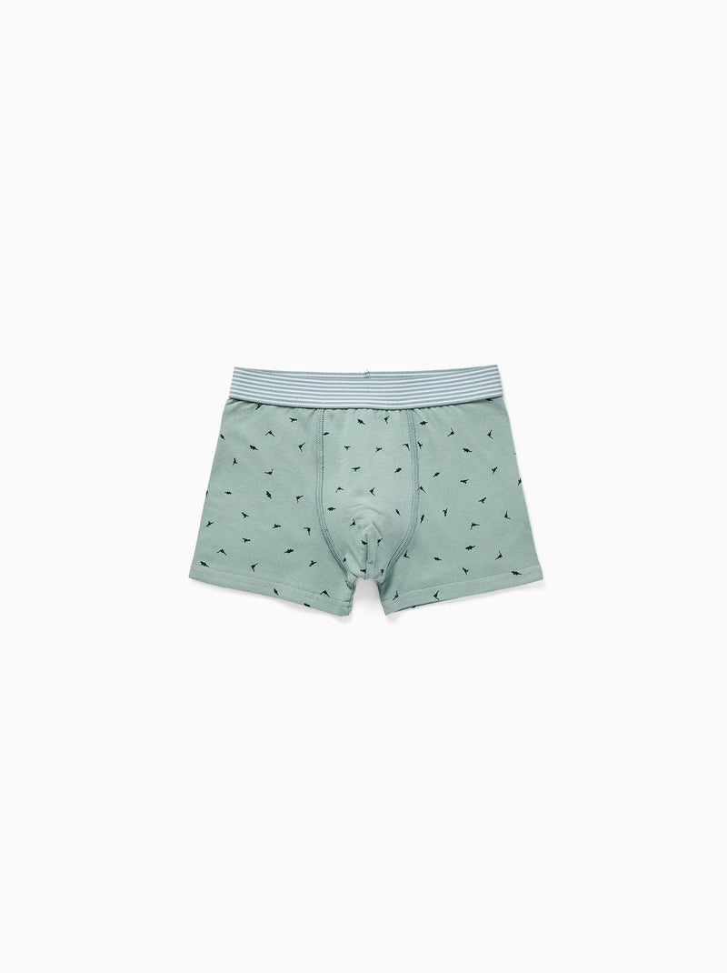 Confezione da 4 boxer in cotone con stampe di dinosauri Grigio blu - Kiabi