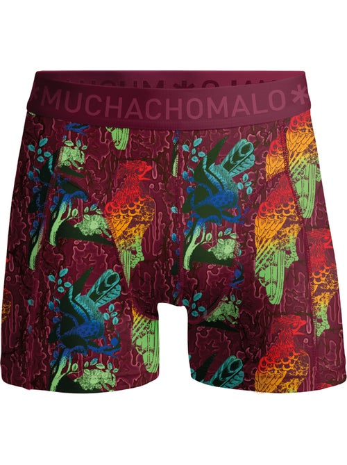 Confezione da 4 boxer Muchachomalo - Kiabi