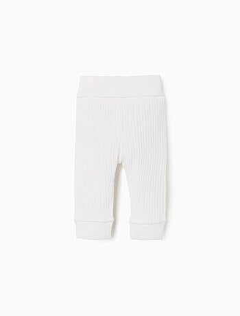 Confezione da 4 pantaloni in cotone lisci/a costine