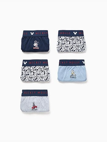 Confezione da 5 slip in cotone con mickey & friends