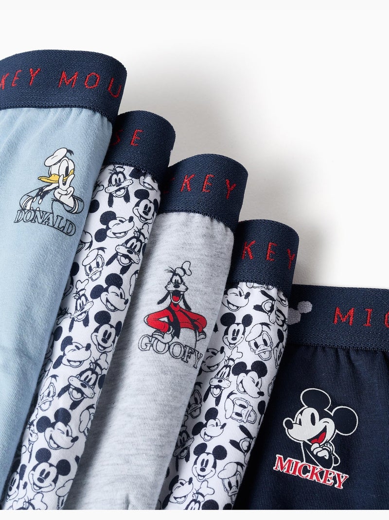 Confezione da 5 slip in cotone con mickey & friends Blu grigio - Kiabi