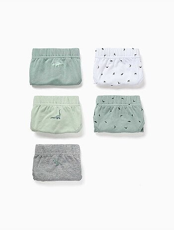 Confezione da 5 slip in cotone con stampe di dinosauri