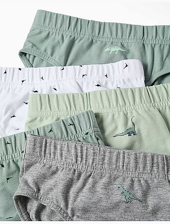 Confezione da 5 slip in cotone con stampe di dinosauri
