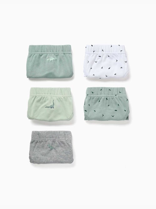 Confezione da 5 slip in cotone con stampe di dinosauri - Kiabi Confezione da 5 slip in cotone con stampe di dinosauri - Kiabi
