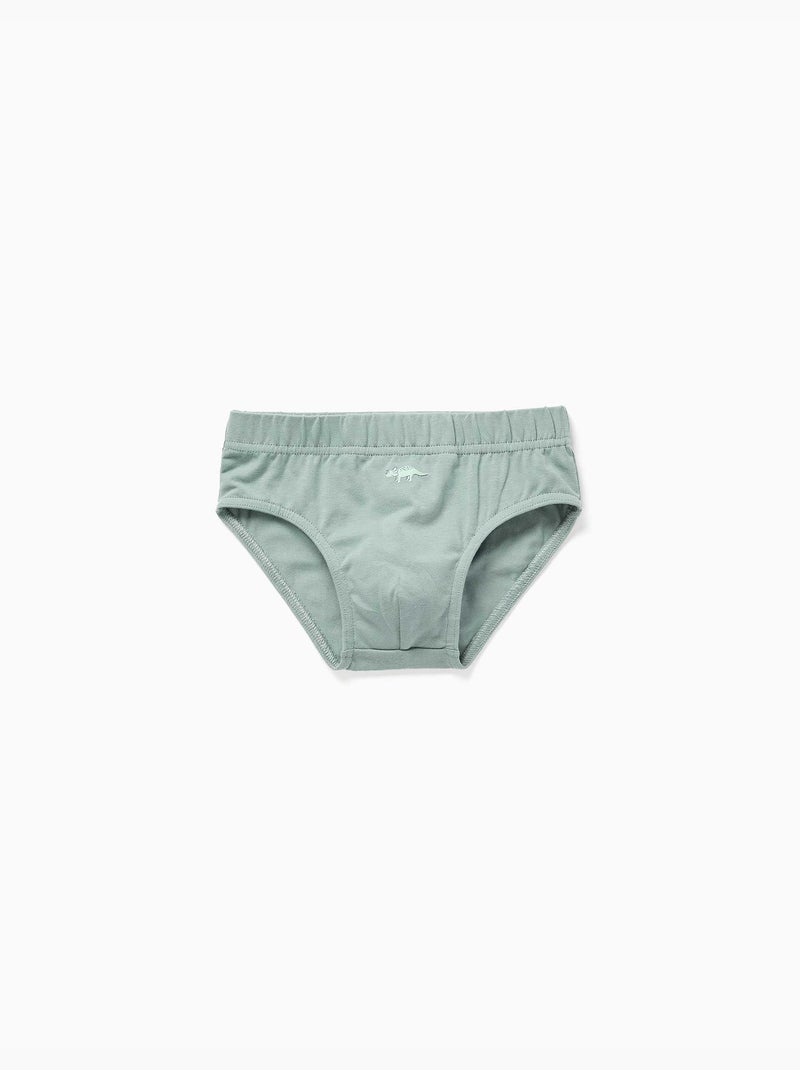 Confezione da 5 slip in cotone con stampe di dinosauri Bianco Verde - Kiabi