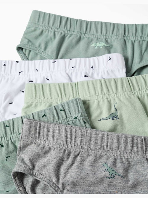 Confezione da 5 slip in cotone con stampe di dinosauri - Kiabi Confezione da 5 slip in cotone con stampe di dinosauri - Kiabi