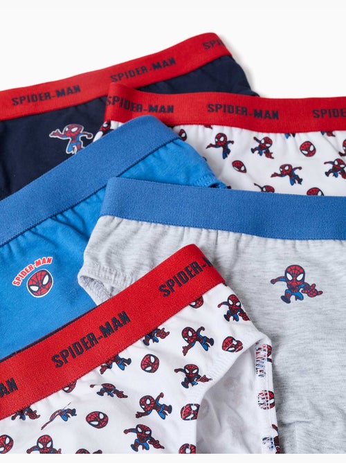 Confezione da 5 slip in cotone con stampe di spider-man - Kiabi