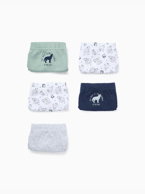 Confezione da 5 slip 'lupi & orsi' - Kiabi