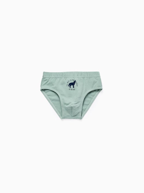 Confezione da 5 slip 'lupi & orsi' - Kiabi