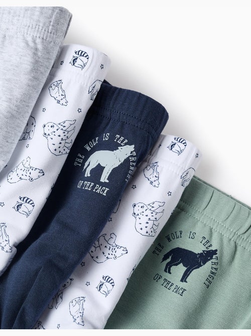 Confezione da 5 slip 'lupi & orsi' - Kiabi