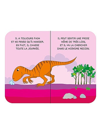Confezione da 8 libri - dinosauri | Sassi Junior