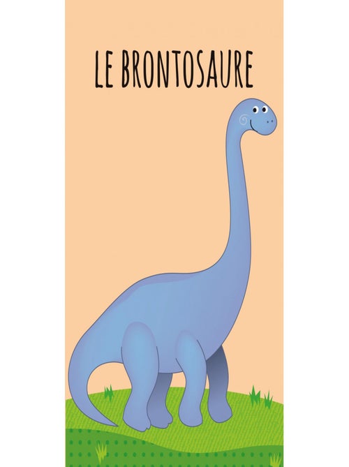 Confezione da 8 libri - dinosauri | sassi junior | sassi junior - Kiabi