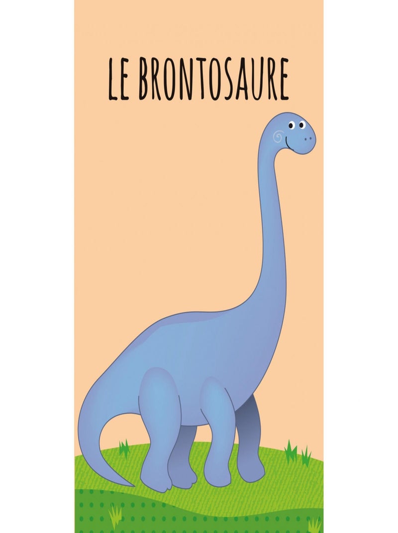 Confezione da 8 libri - dinosauri | sassi junior | sassi junior N/D - Kiabi