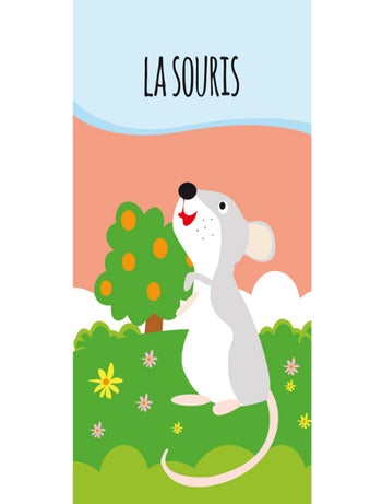 Confezione da 8 libri - mes petits animaux | Sassi Junior