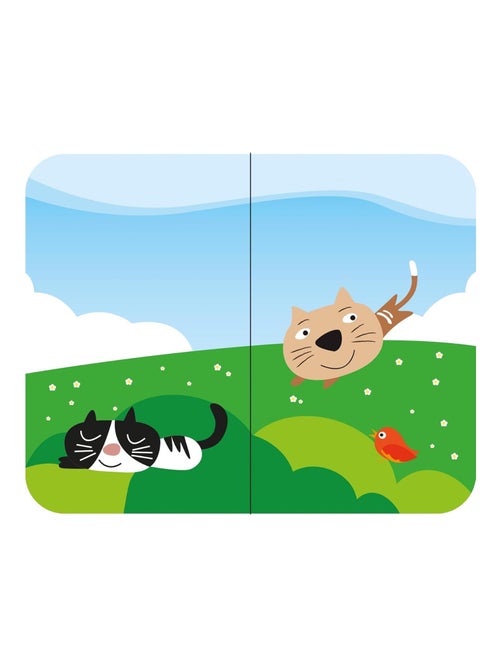 Confezione da 8 libri - mes petits animaux | Sassi Junior - Kiabi Confezione da 8 libri - mes petits animaux | Sassi Junior - Kiabi