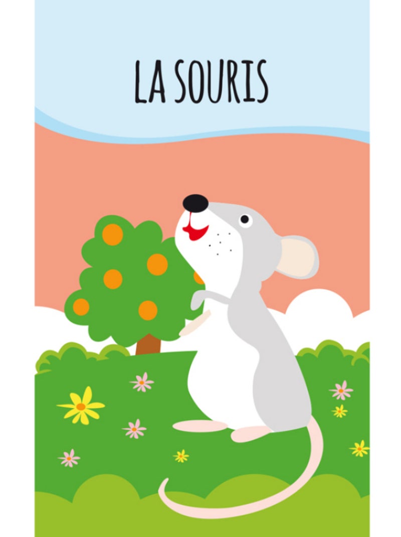 Confezione da 8 libri - mes petits animaux | Sassi Junior N/D - Kiabi