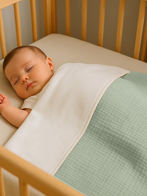 Coperta in cotone biologico Rex - Kiabi