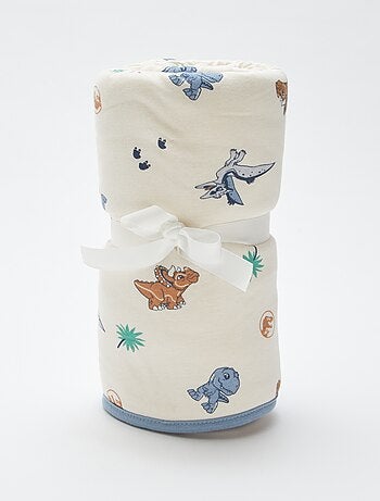 Coperta 'Jurassic Explorers'