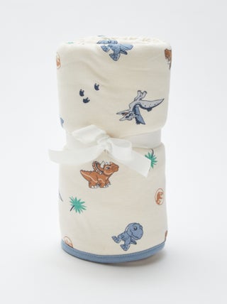Coperta 'Jurassic Explorers'
