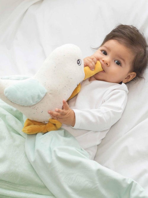 Copertina Au large de Nova - Kiabi