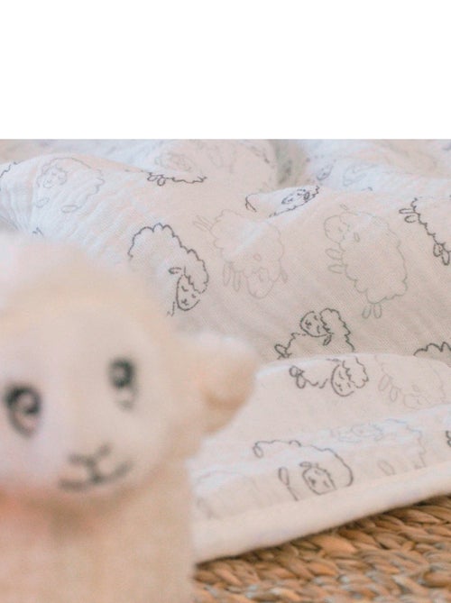 Copertina per neonato - Kiabi