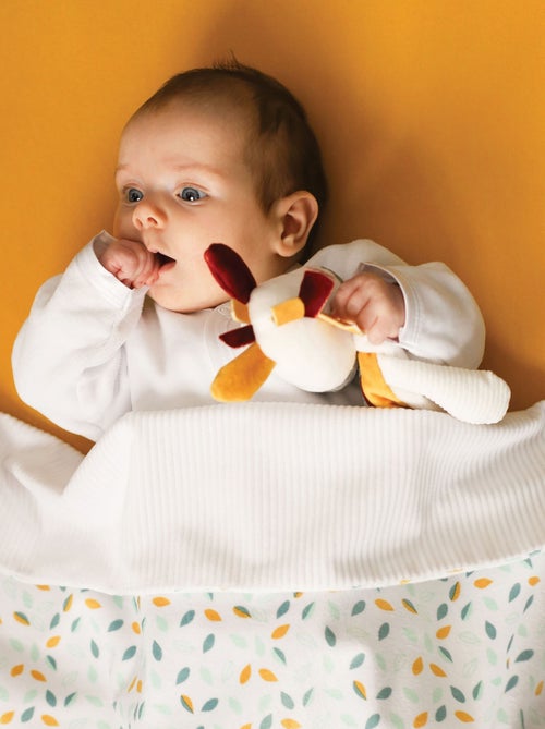 Copertina reversibile Kolala e la sua tribù - Kiabi