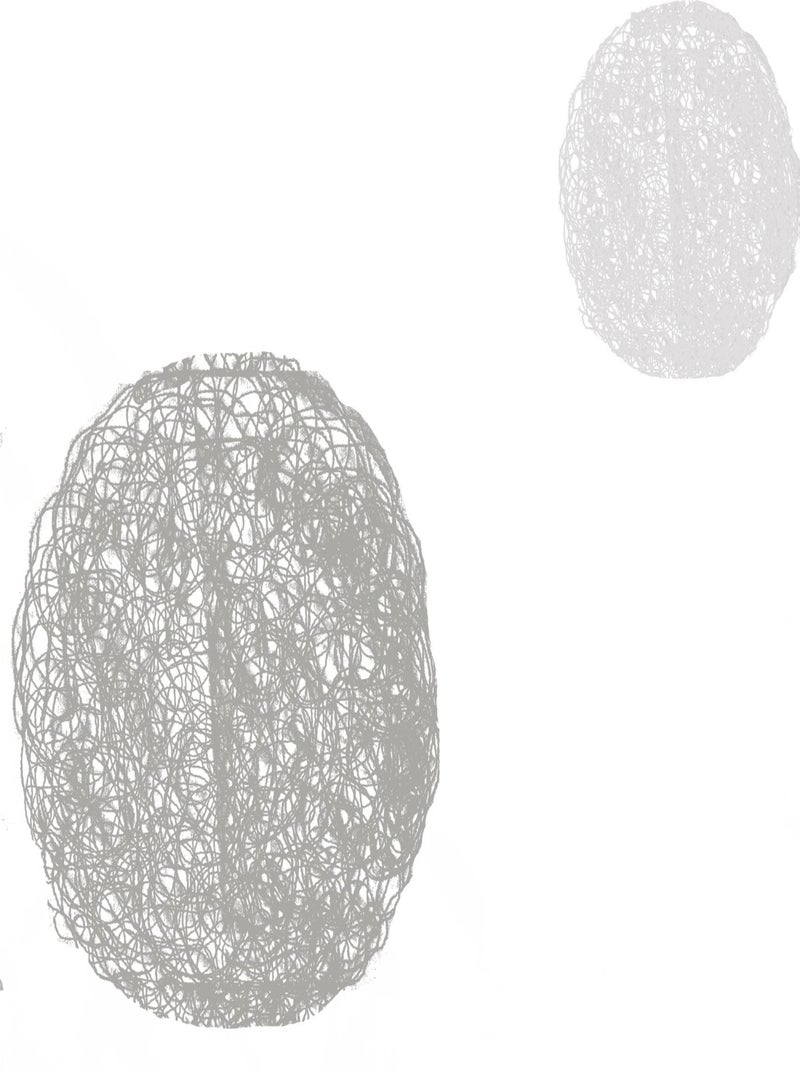 Coppia di piccole veline bianche con ricami misti in tondo Bianco - Kiabi