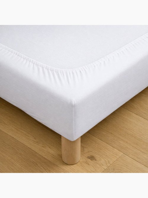 Coprimaterasso in jersey di cotone elasticizzato - Kiabi