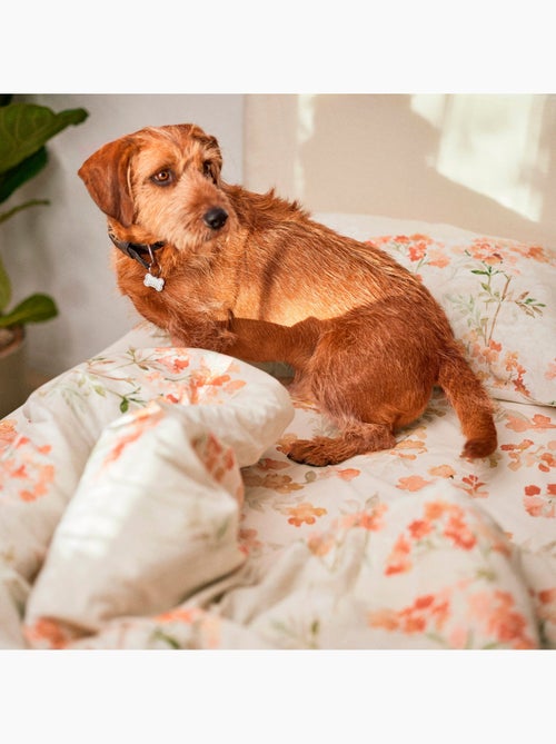 Copripiumino Riomaggiore "Happyfriday" - Kiabi