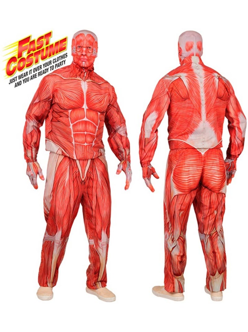 Costume anatomico espressivo con muscoli Multicolore - Kiabi