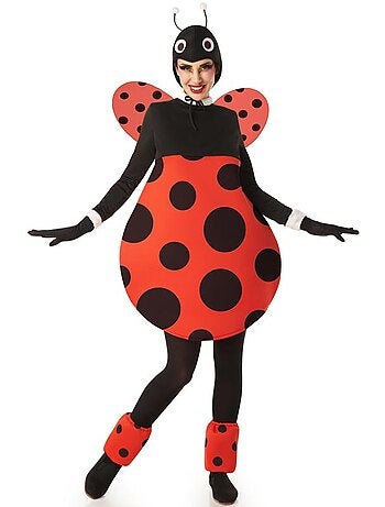 Costume da coccinella paffuta con ali da donna