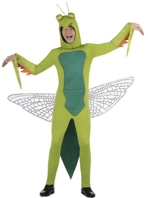 Costume da mantide religiosa con cappuccio e ali - Kiabi