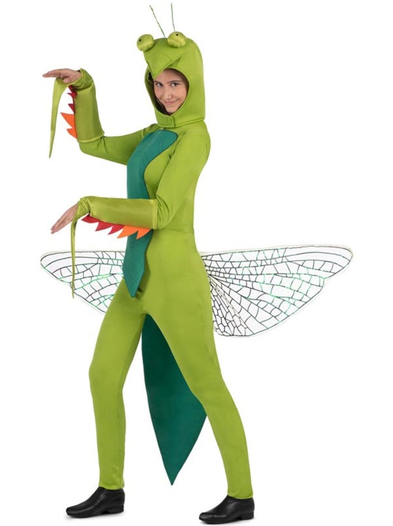 Costume da mantide religiosa con cappuccio e ali Multicolore - Kiabi